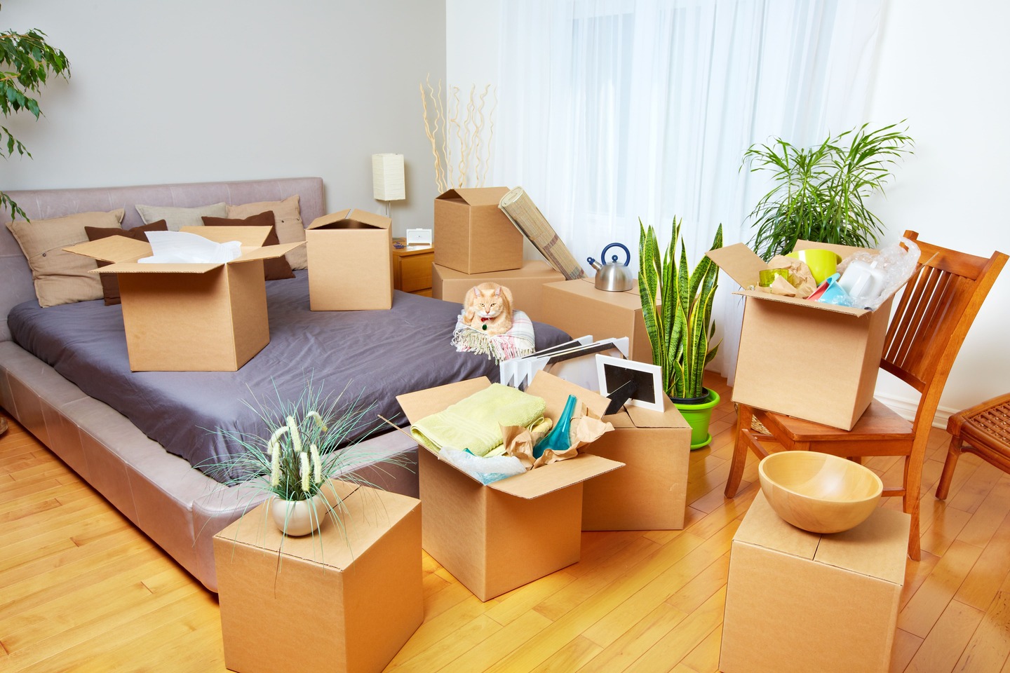 Bedroom Set Moving in Florida Village Movers